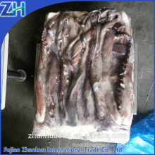 frozen squid tentacle giant squid cleaned 2019